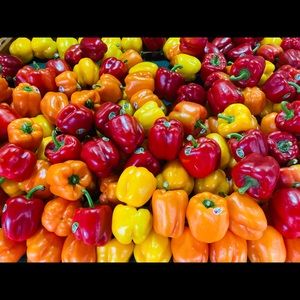 Meet your Posher, Hector